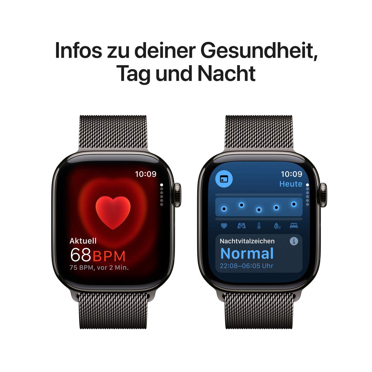 Apple Watch S10 Titan Schiefer Cellular 42mm Milanaise Armband schiefer