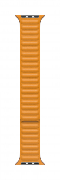 283702.jpg