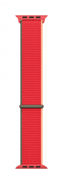 288579.jpg