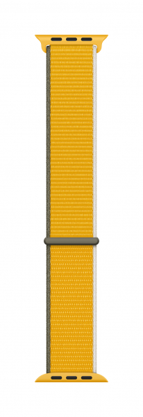 288583.jpg
